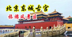 爱吃大鸡吧的小穴在线播放中国北京-东城古宫旅游风景区